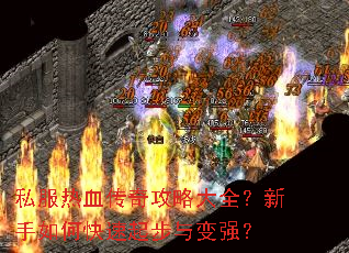 ˽����Ѫ���湥�Դ�ȫ��������ο��������ǿ��