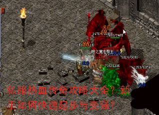 ˽����Ѫ���湥�Դ�ȫ��������ο��������ǿ��