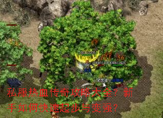 ˽����Ѫ���湥�Դ�ȫ��������ο��������ǿ��