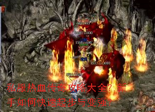 ˽����Ѫ���湥�Դ�ȫ��������ο��������ǿ��