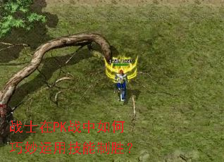 սʿ��PKս������������ü�����ʤ��