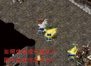 ��ο����������������е��佫ս������