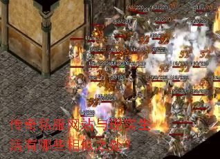 ����˽����վ����ʵ��������Щ����֮����