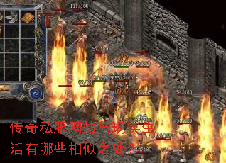 ����˽����վ����ʵ��������Щ����֮����