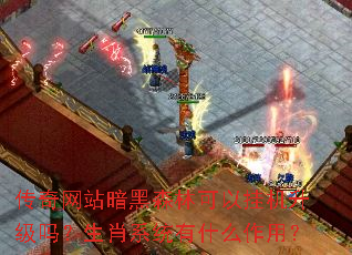 ������վ����ɭ�ֿ��Թһ���������Фϵͳ��ʲô���ã�