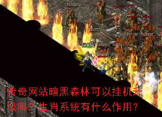 ������վ����ɭ�ֿ��Թһ���������Фϵͳ��ʲô���ã�