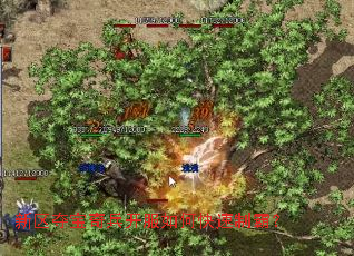 新区夺宝奇兵开服如何快速制霸? 新区夺宝奇兵开服如何快速制霸?