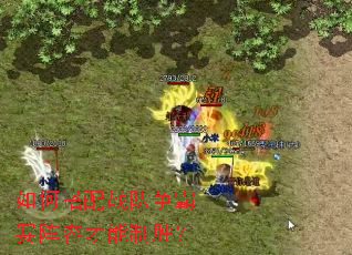 如何搭配战队争霸赛阵容才能制胜? 如何搭配战队争霸赛阵容才能制胜?