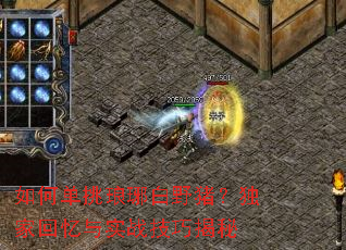 如何单挑琅琊白野猪?独家回忆与实战技巧揭秘 如何单挑琅琊白野猪?独家回忆与实战技巧揭秘