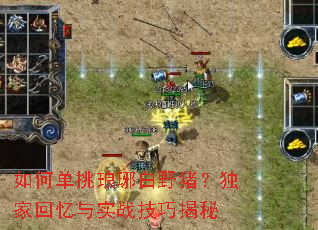 如何单挑琅琊白野猪?独家回忆与实战技巧揭秘 如何单挑琅琊白野猪?独家回忆与实战技巧揭秘