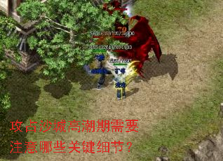 ��ռɳ�Ǹ߳�����Ҫע����Щ�ؼ�ϸ�ڣ�