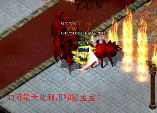 �������������ر�����