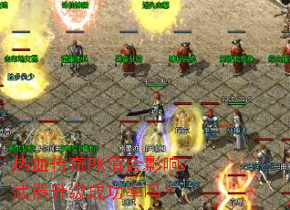 ��Ѫ����PKֵ��Ӱ�����������ɹ�����