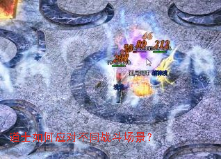 ��ʿ���Ӧ�Բ�ͬս��������