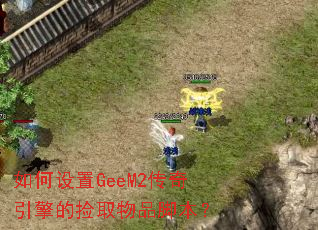 �������GeeM2��������ļ�ȡ��Ʒ�ű���