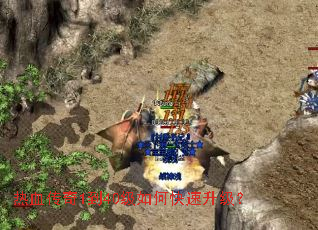 ��Ѫ����1��40����ο���������