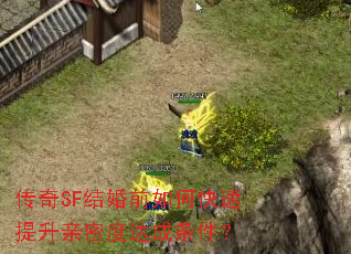 ����SF���ǰ��ο����������ܶȴ��������