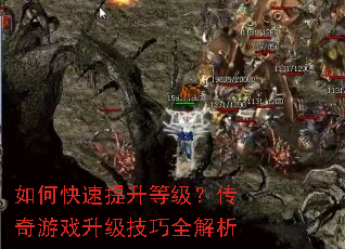 ��ο��������ȼ���������Ϸ��������ȫ����