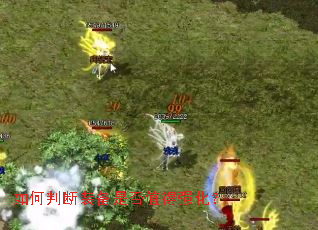 ����ж�װ���Ƿ�ֵ��ǿ����