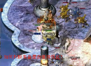 ����ж�װ���Ƿ�ֵ��ǿ����