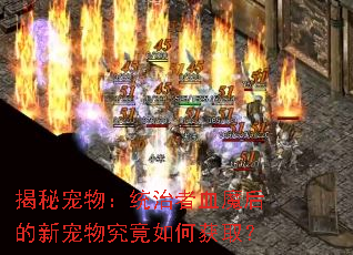 揭秘宠物:统治者血魔后的新宠物究竟如何获取? 揭秘宠物:统治者血魔后的新宠物究竟如何获取?