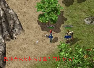 翅膀升级材料有哪些?如何获取? 翅膀升级材料有哪些?如何获取?