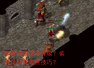 如何快速提升等级?装备获取有哪些技巧? 如何快速提升等级?装备获取有哪些技巧?