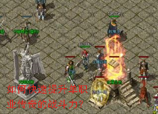 ��ο���������ְҵ�����ս������