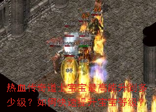 ��Ѫ�����ʿ����������������ټ�����ο������������ȼ���