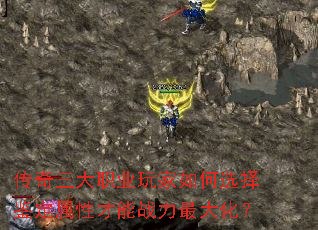 ��������ְҵ������ѡ��������Բ���ս����󻯣�