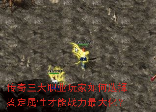 ��������ְҵ������ѡ��������Բ���ս����󻯣�