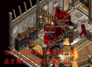 ��������ְҵ������ѡ��������Բ���ս����󻯣�