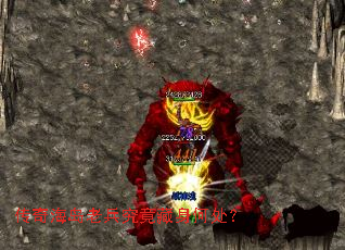 ���溣���ϱ����������δ���