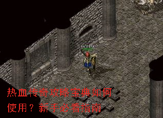 ��Ѫ���湥�Ա������ʹ�ã����ֱؿ�ָ��