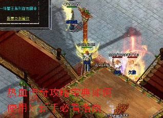 ��Ѫ���湥�Ա������ʹ�ã����ֱؿ�ָ��