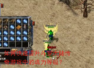 ��ο����������޴�½������Ϸ�еĻ����ȼ���