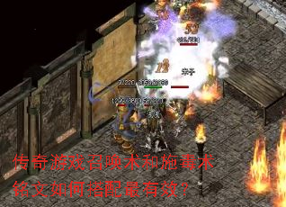 ������Ϸ�ٻ�����ʩ����������δ�������Ч��