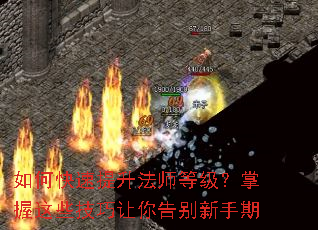 ��ο���������ʦ�ȼ���������Щ����������������