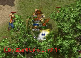 ����ͷ��������㹥���������