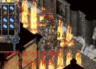 ע��ţħ������˫BOSS����θ�Ч��ս��