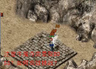 ע��ţħ������˫BOSS����θ�Ч��ս��