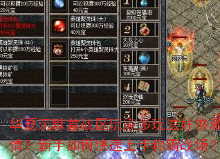 ���ĳ�Ĭ��ս����Ҷ��淨�ù����飿������ο������ֳư�ս����