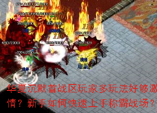 ���ĳ�Ĭ��ս����Ҷ��淨�ù����飿������ο������ֳư�ս����