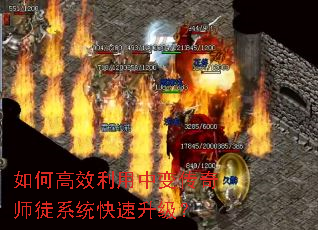 ��θ�Ч�����б䴫��ʦͽϵͳ����������