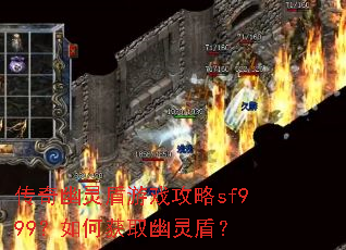 �����������Ϸ����sf999����λ�ȡ����ܣ�