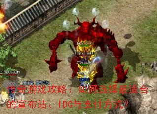 ������Ϸ���ԣ����ѡ�����ʺϵ�����վ��IDC��֧����ʽ��