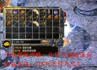 ������Ϸ���ԣ����ѡ�����ʺϵ�����վ��IDC��֧����ʽ��