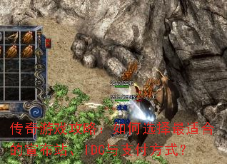 ������Ϸ���ԣ����ѡ�����ʺϵ�����վ��IDC��֧����ʽ��