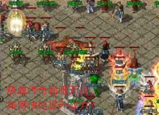 ��Ѫ�����·���������ο�������ս����