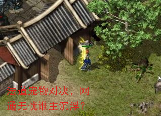 ��������Ծ�����ͨ����˭��������